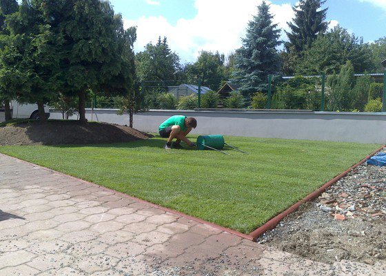 Trávníkový koberec